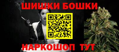 СК Владивосток
