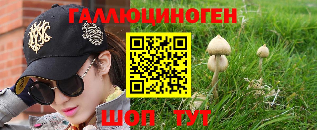Ангарск  Галлюциногенные грибы Psilocybine cubensis  Вход с VPN 